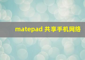 matepad 共享手机网络